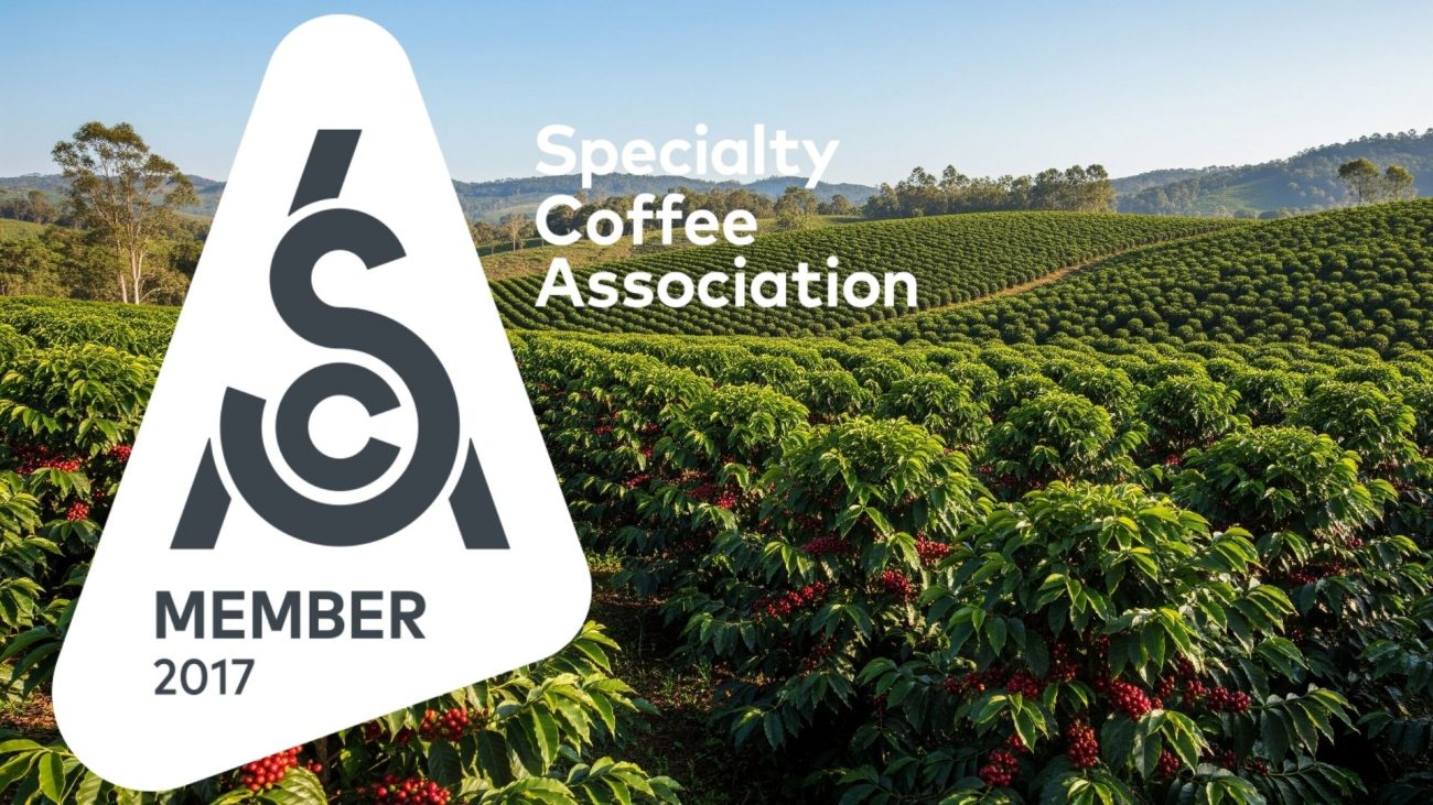 SmellyCat nitelikli kahve demleme standartları ve SCA kriterleri görseli.